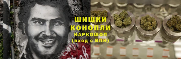 прущие грибы Армянск