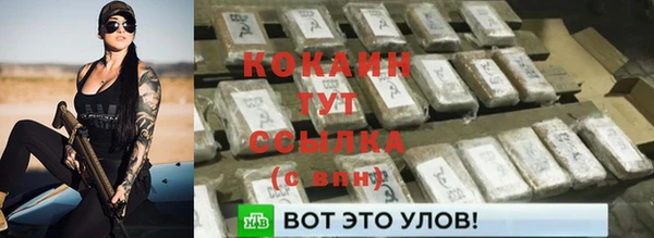 прущие грибы Армянск