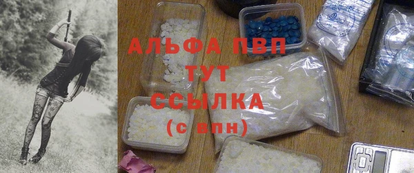 прущие грибы Армянск