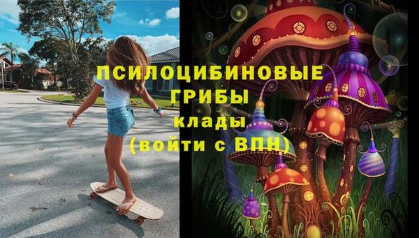 амф Аркадак