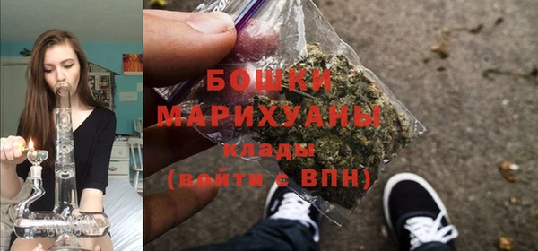 амф Аркадак