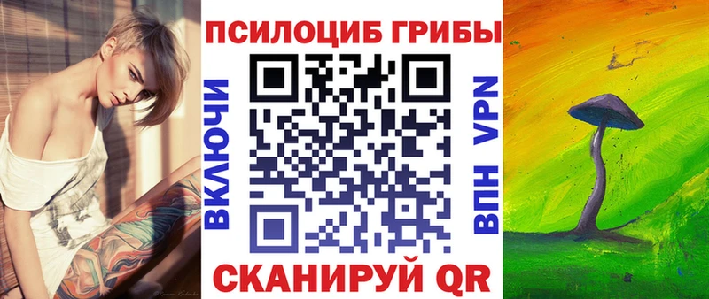 Псилоцибиновые грибы ЛСД  магазин  наркотиков  даркнет формула  Родники 